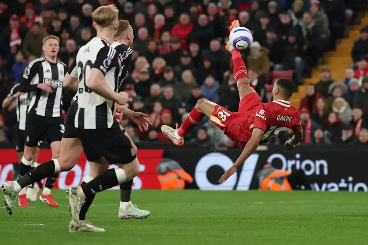 newcastle-united-i-da-devirdiler-liverpool-artik-18412576_8589_amp.jpg