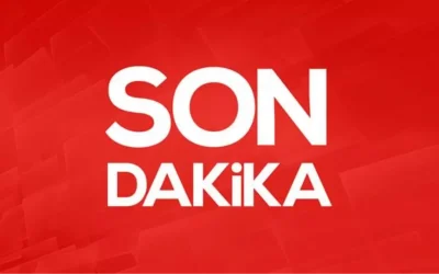 A Milli Takım’ın ABD ve Meksika maçları aday kadrosu!