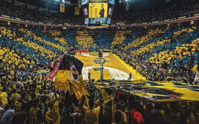 Fenerbahçe taraftarlarına müjde! Final maçı ücretsiz izlenebilecek