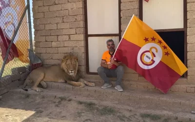 Aslanlarla şampiyonluk kutlaması: Galatasaray taraftarından ilginç isim seçimi