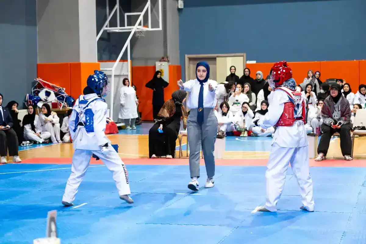 turgev-ortaogretim-yurtlari-arasi-teakwondo-18639429_3983_amp.jpg