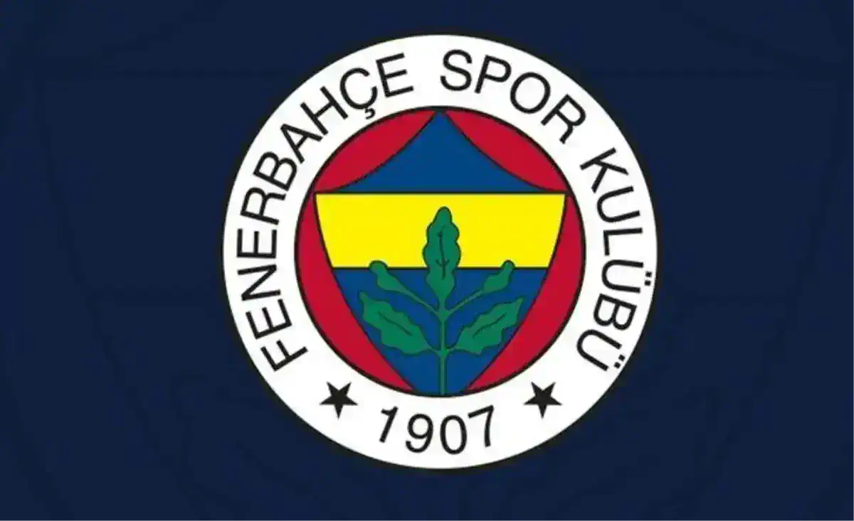 fenerbahce-sunderland-maci-ne-zaman-hazirlik-18742981_892_amp.jpg