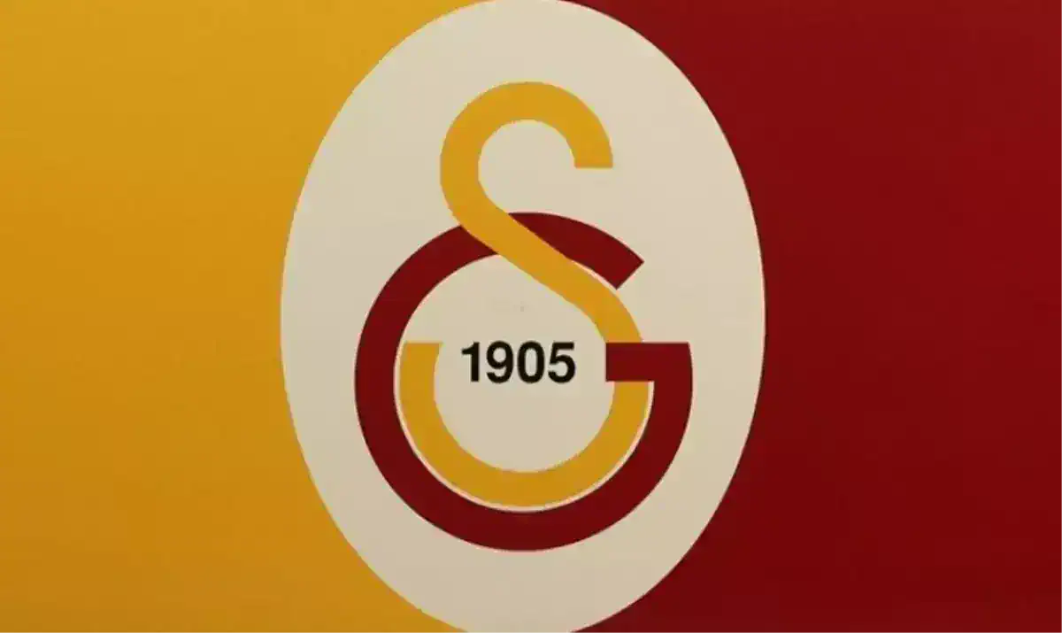 galatasaray-admira-wacker-muhtemel-11-ler-leroy-18862517_4204_amp.jpg