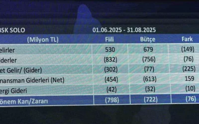 Fenerbahçe’nin Gelir Tablosu 25 Ekim’de Yayınlanacak