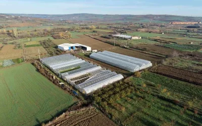 Tekirdağ’da Çiftçilere 70 Futbol Sahası Büyüklüğünde Sera Naylonu Verildi